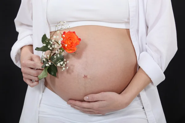 Kobieta w ciąży trzymająca różę — Zdjęcie stockowe