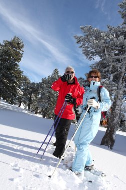 Retired couple cross-country skiing clipart