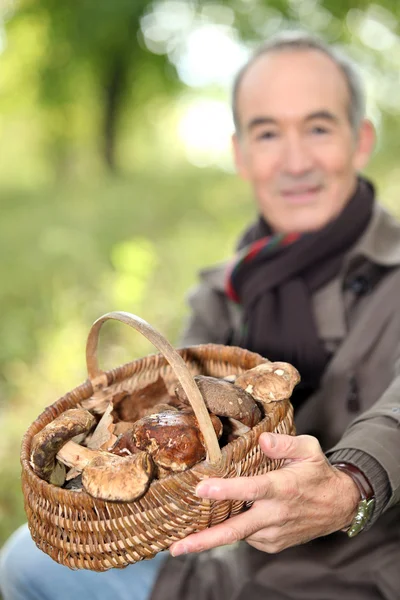 Äldre man med en korg med svamp — Stockfoto