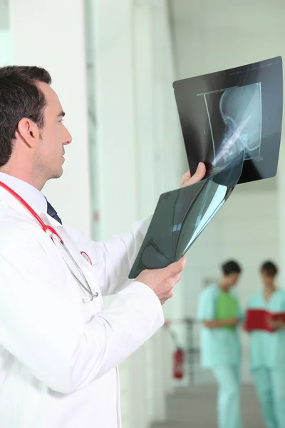Orthopedic surgeon with two x-rays — Stock Photo, Image