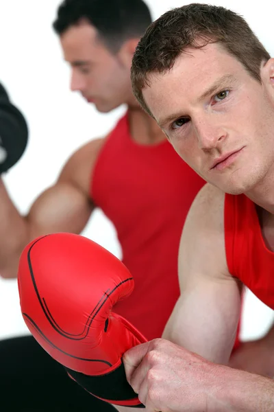 Boxing and weightlifting — Stock Photo, Image