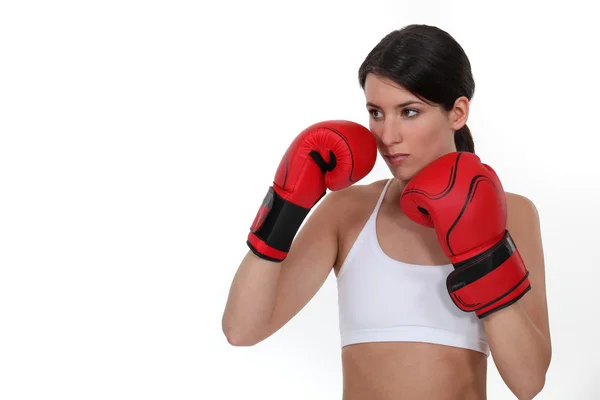 Morena boxeador feminino — Fotografia de Stock