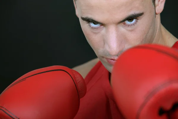 Portret van een bokser — Stockfoto