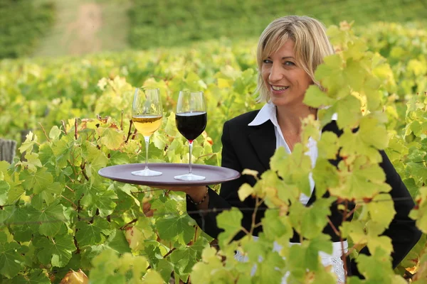 Usměvavá servírka s vínem na vinici — Stock fotografie
