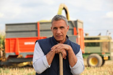 Farmer standing in front of a cattle transport vehicle clipart