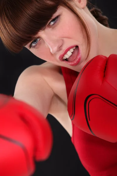 Boxer femminile — Foto Stock