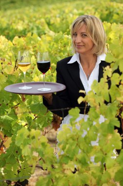 Waitress in a vineyard clipart