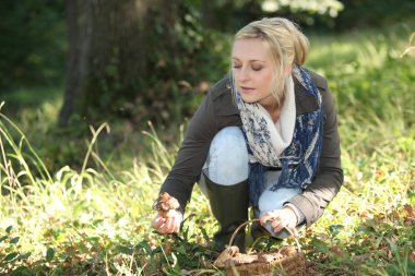 A woman mushroom picking. clipart