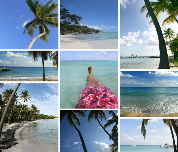 马赛克的热带小岛 — 图库照片