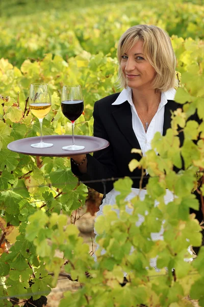 Официантка в винограднике — стоковое фото