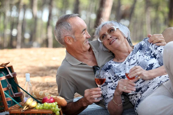 Äldre par att ha en romantisk picknick i parken — Stockfoto