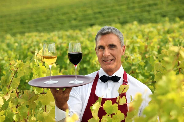 ワイングラスのトレイを持つブドウ畑に立つウェイター — ストック写真