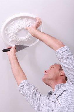 Decorator affixing a ceiling rose clipart