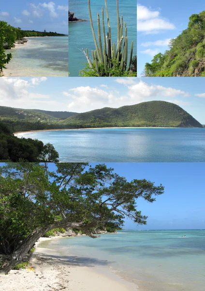 Schöne und exotische Insel, Meer, Küsten — Stockfoto