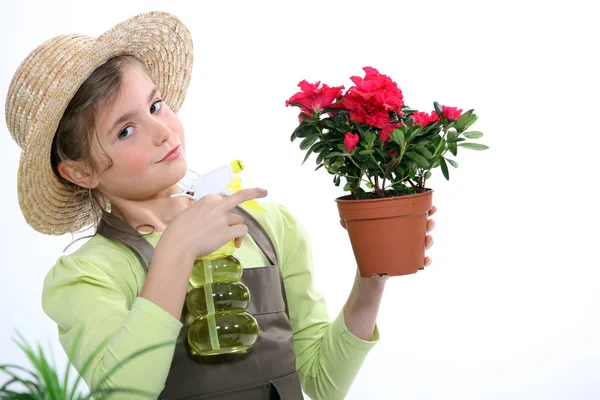 Klein meisje spuiten een kamerplant — Stockfoto