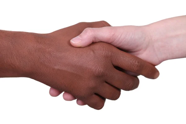인종적 다양성 기호 — 스톡 사진