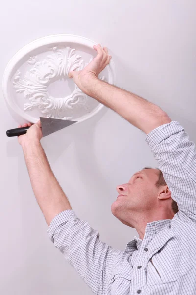 Decorator affixing a ceiling rose