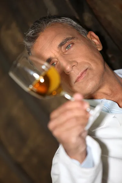 Винодел осматривает бокал вина — стоковое фото
