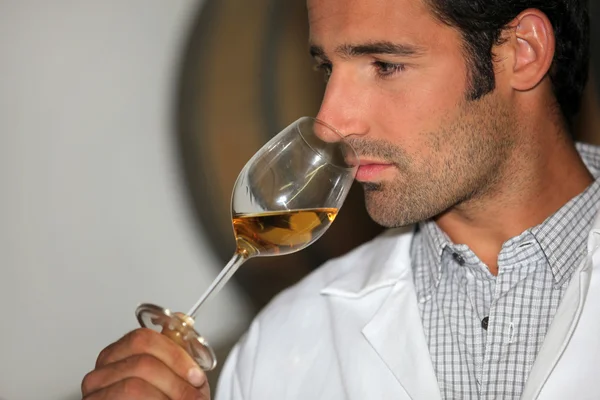 Un hombre oliendo vino —  Fotos de Stock