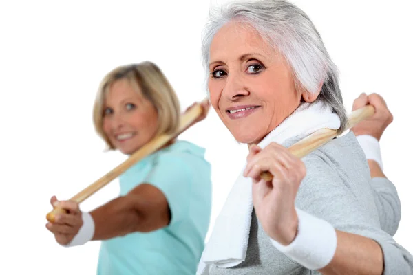 Retrato de duas mulheres fazendo exercício — Fotografia de Stock