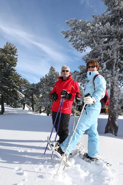 Лыжные гонки для пожилых пар — стоковое фото