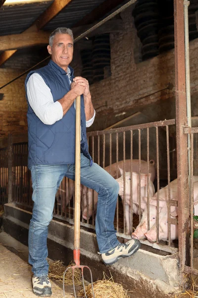 Agricultor de pé com ancinho na mão — Fotografia de Stock