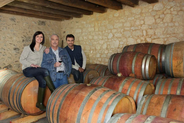 Drei trinken Wein im Keller — Stockfoto
