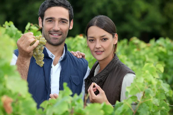 Молодая пара гордится своим виноградником — стоковое фото