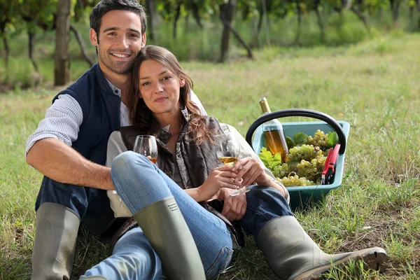 Пара, яка має пікнік у винограднику Ліцензійні Стокові Фото