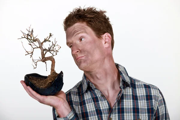 Mann mit Schmutz bedeckt, der eine abgestorbene Pflanze hält — Stockfoto