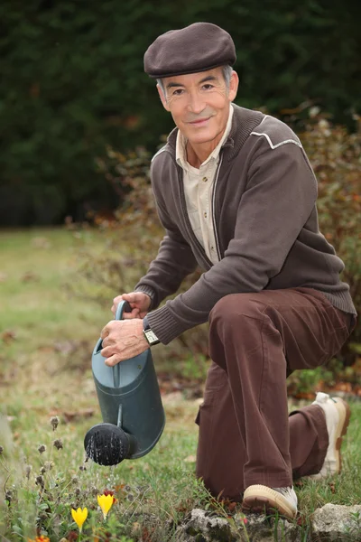 Man in zijn tuin planten water geven — Stockfoto