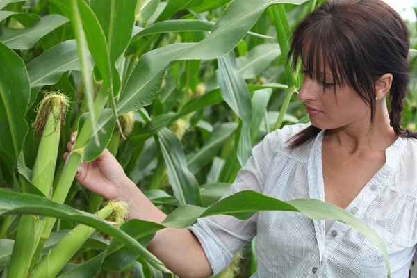 Ritratto di donna nel campo di grano — Foto Stock