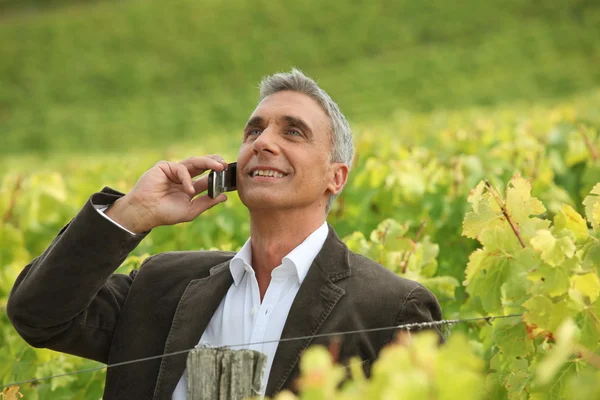 Affärsman på telefon i vingårdar — Stockfoto