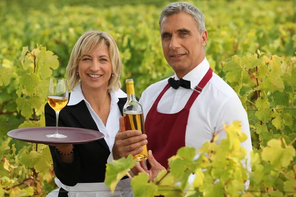 Két bor pincér szőlőültetvények pózol — Stock Fotó