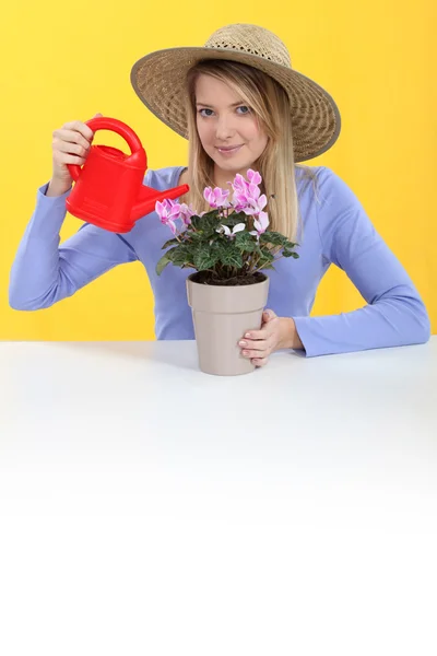 Vrouw neiging om haar plant — Stockfoto