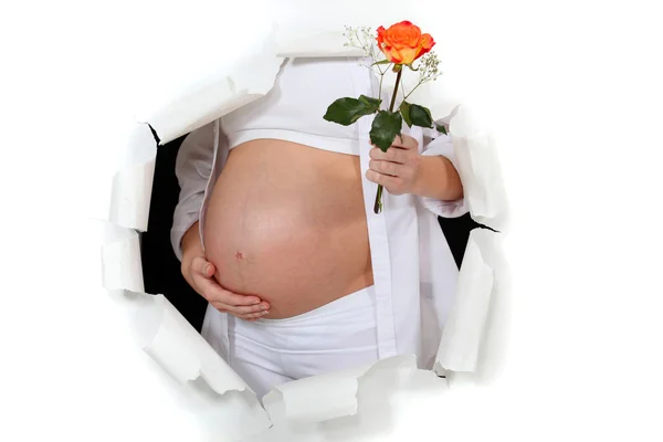 Donna incinta che tiene il fiore — Foto Stock