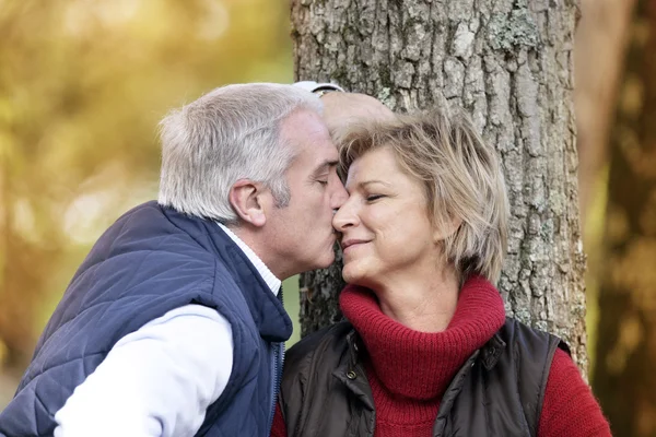 Пара средних лет целуется на дереве — стоковое фото
