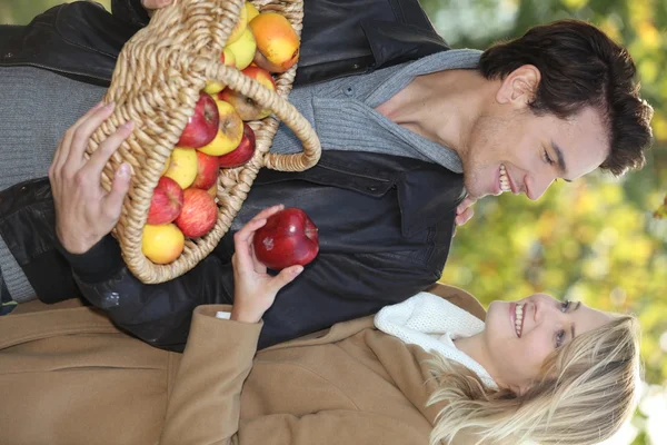 Casal pegando maçãs juntos — Fotografia de Stock