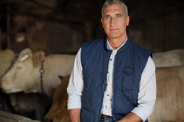 Rolnik w swoim gospodarstwie krowy — Zdjęcie stockowe