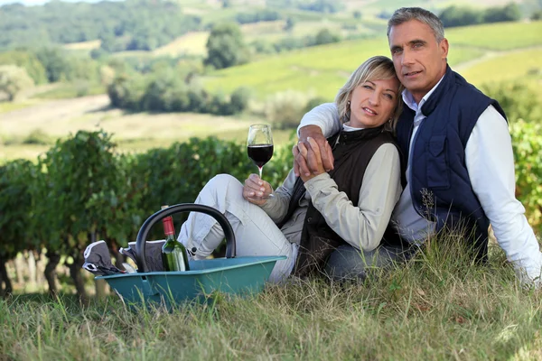 Casal beber vinho em uma vinha — Fotografia de Stock