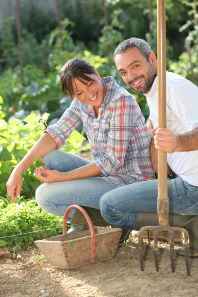Jardinería en pareja — Foto de Stock