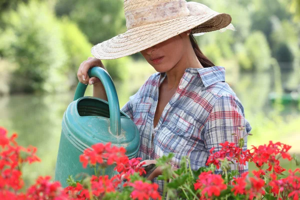 Mujer Jardinería — Foto de Stock