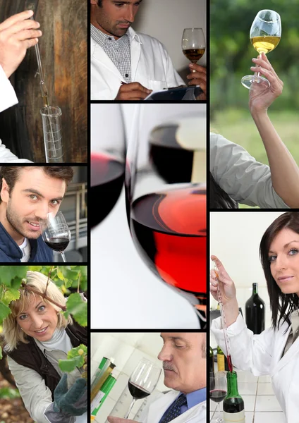 Oenologen en wijnproducenten behandeling van wijn — Stockfoto