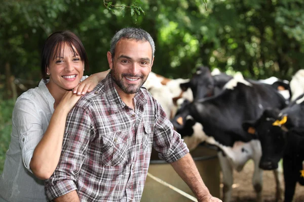 Happy couple working in their farm — Stock Photo, Image