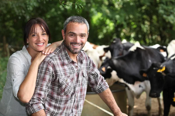 Glückliches Paar bei der Arbeit auf dem Bauernhof — Stockfoto