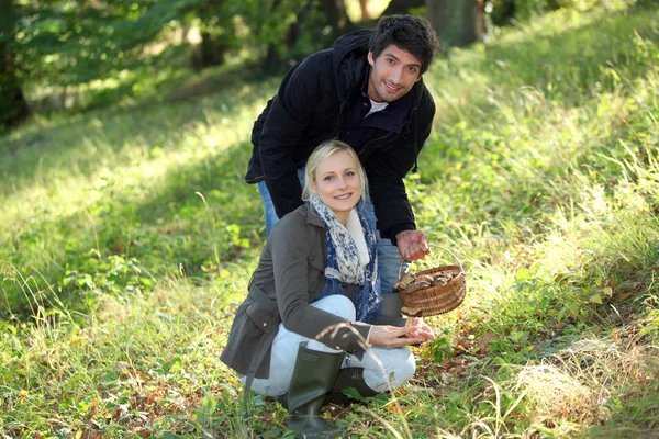 Couple ramassant des champignons dans la forêt — Photo