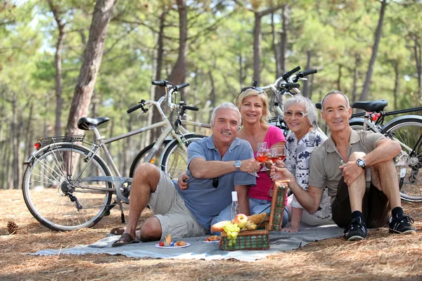 Two middle-aged couple having picnic — Stock Photo, Image