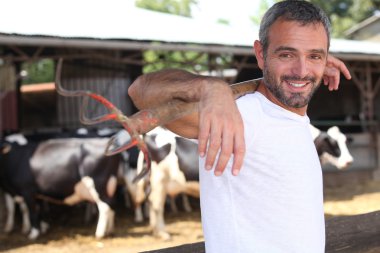 Farmer with pitchfork standing in front of cattle clipart