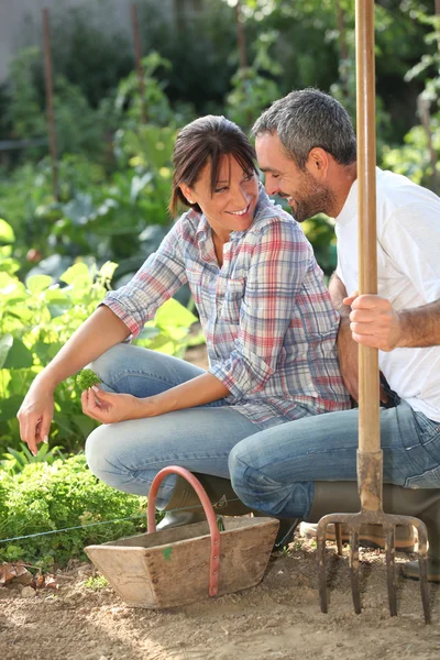 Amantes sorridentes fazendo jardinagem — Fotografia de Stock