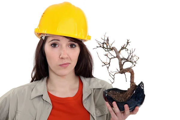 Ölü bir bitki tutan bir kadın inşaat işçisi. — Stok fotoğraf